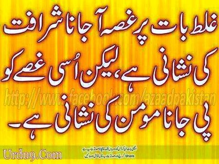 Beshak❤