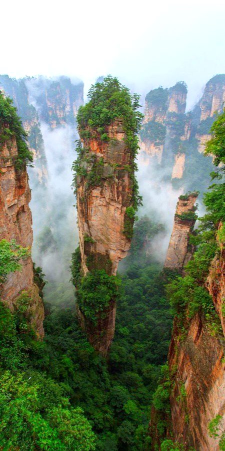 Beautiful Nature image