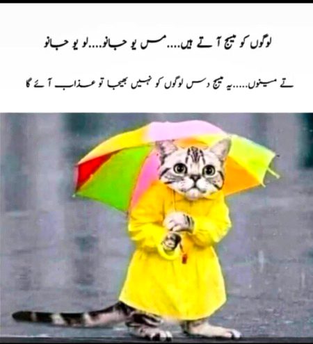 Jokes image