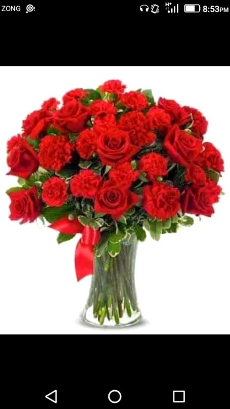 Beautiful Nature image