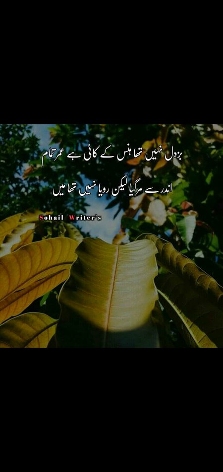 Sad Poetry image