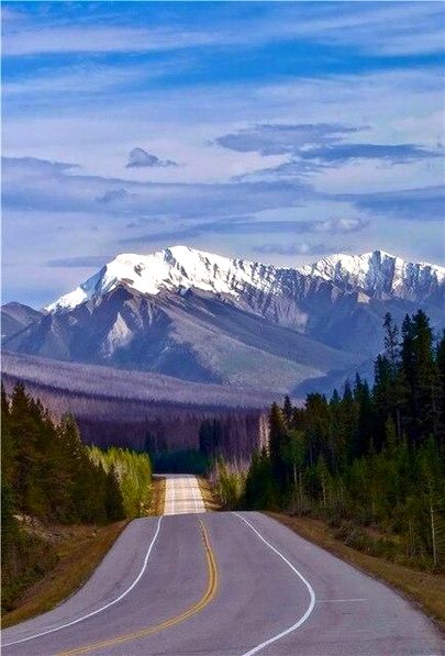 Beautiful Nature image