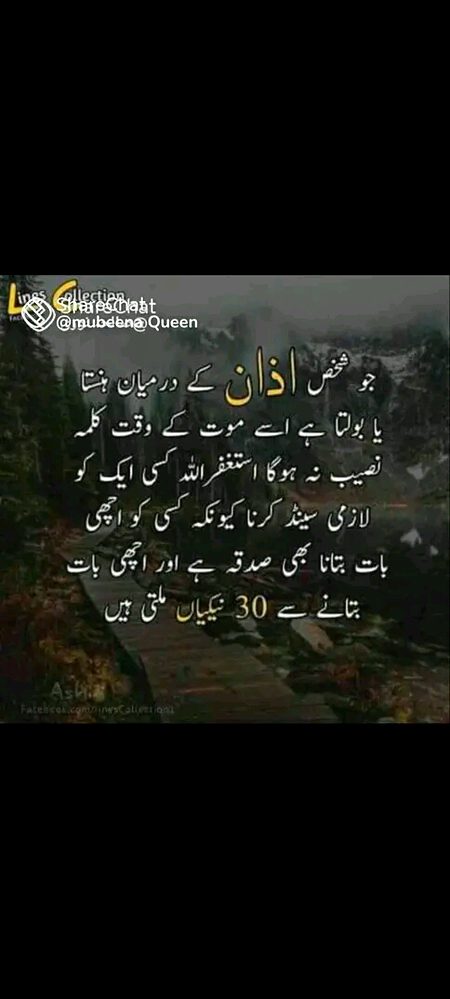 Islamic Quotes image