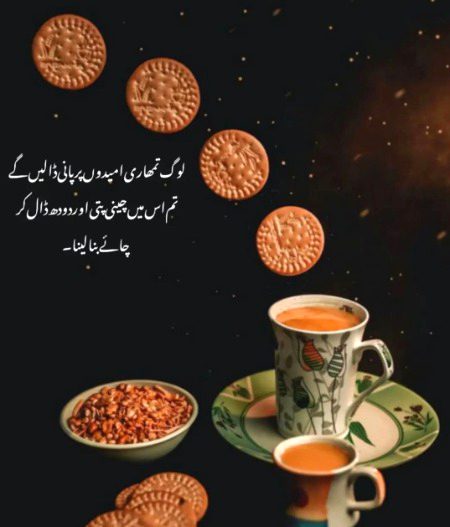 Memes & Satire image