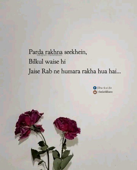 Princess moon 💐🌹🥀🌺