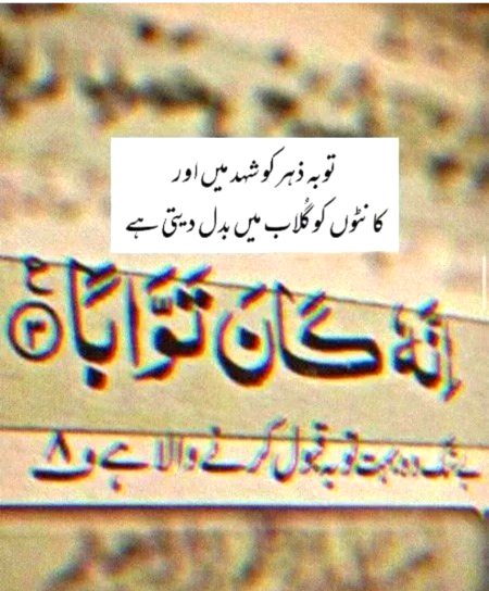 Islamic Quotes image