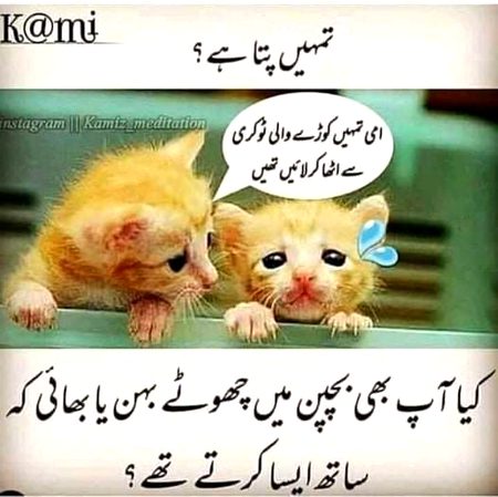 Tell mee guys