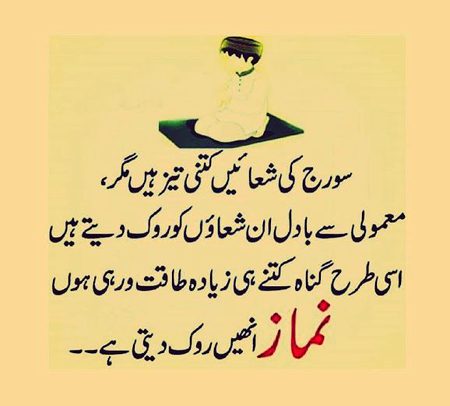 Islamic Quotes image