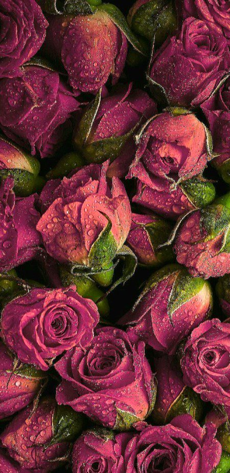 Beautiful Nature image