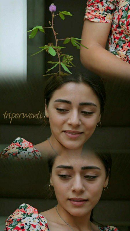 Turkish Celebs image