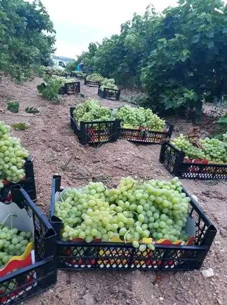 Beautiful Nature image