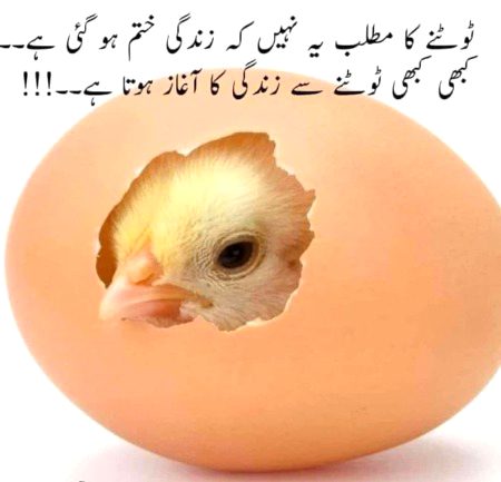 Sanaam blkl