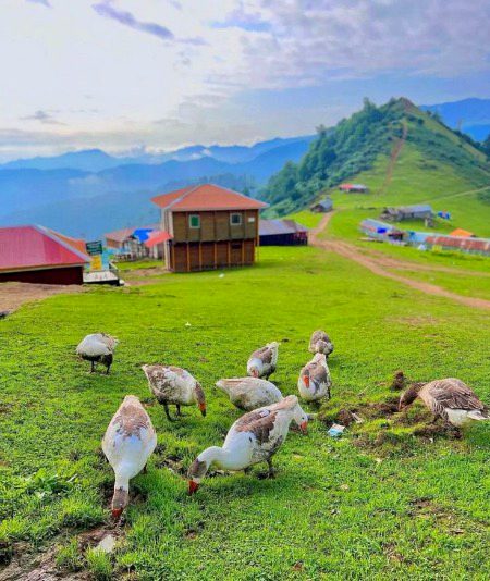 Beautiful Nature image
