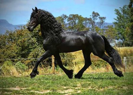 Beautiful Nature image