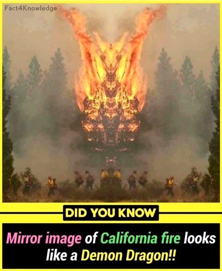 Interesting Posts image