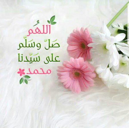 Subahn Allah ❣️ صل اللّٰہ علیہ وآلہ واصحابہ وبارک وسلم