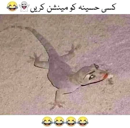 Jokes image
