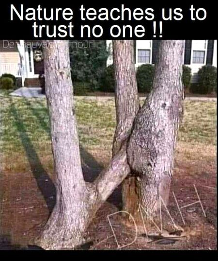 no one ⊙_⊙