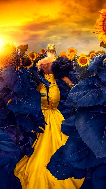 Beautiful Nature image