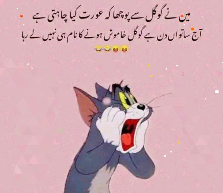 Memes & Satire image