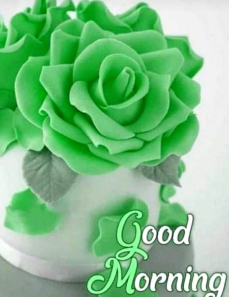 Assalam O alaikum 🌹💞