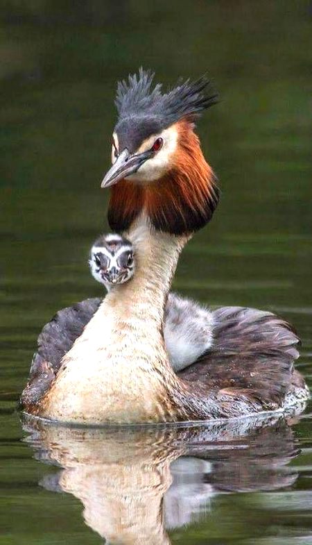 Beautiful Nature image