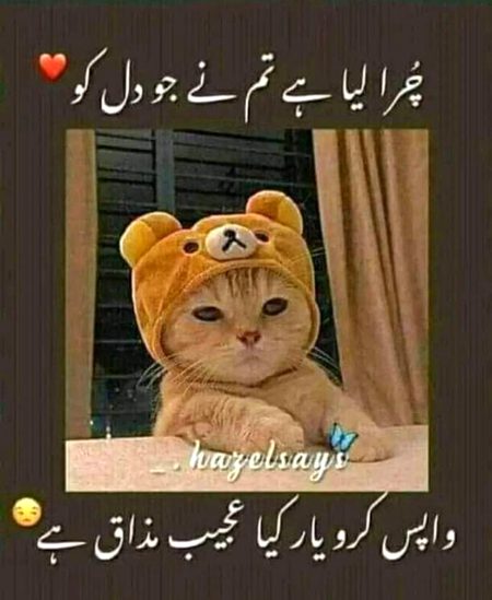 Jokes image