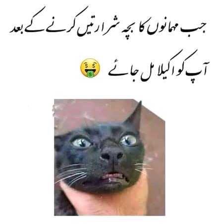 Memes & Satire image