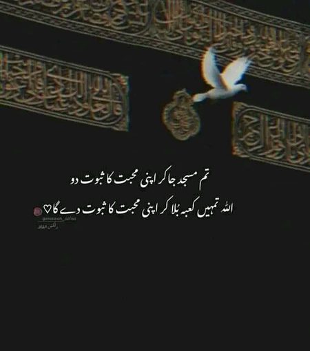 Islamic Quotes image