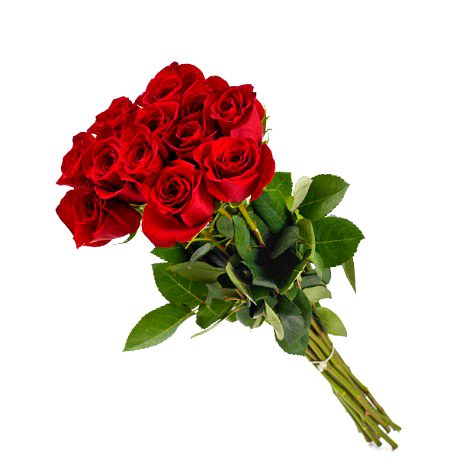 Beautiful Nature image