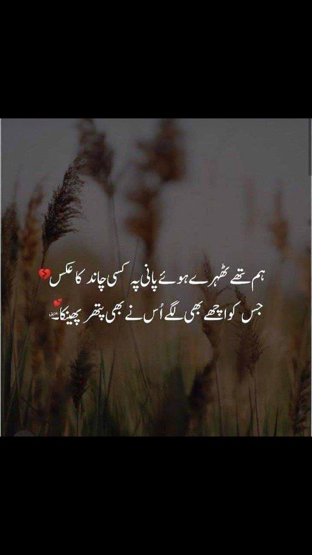 لہجے سمجھ آ جاتے ہیں مجھے 🔥
بس لوگوں کو شرمندہ کرنا اچھا نہیں لگتا🍂
￼