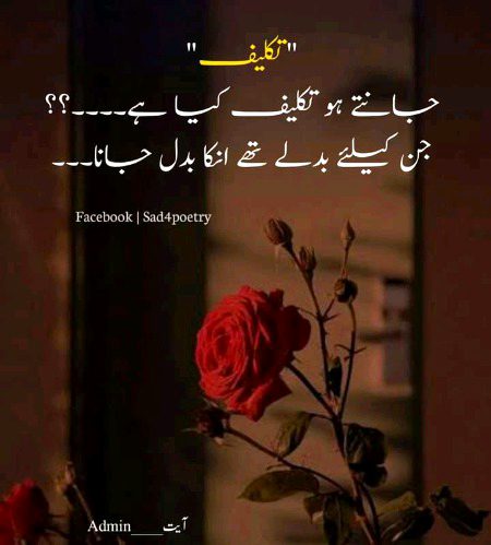 Sad Poetry image