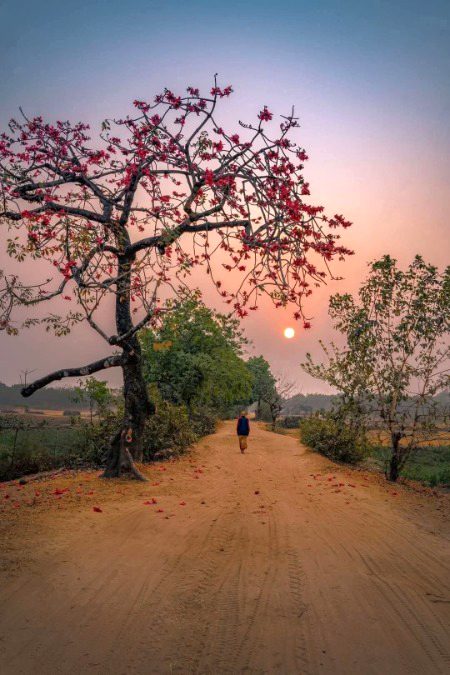 Beautiful Nature image