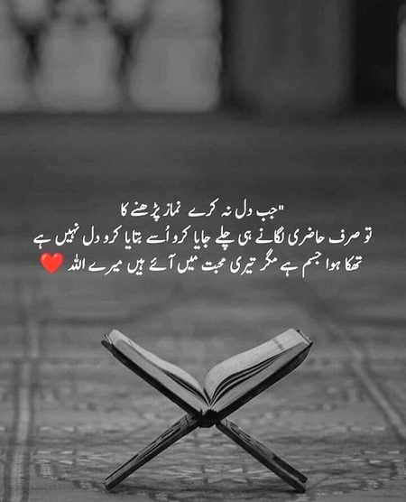 Motivational Quotes image