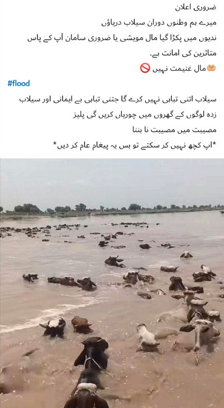 Allah moaf kry