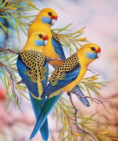 Beautiful Nature image