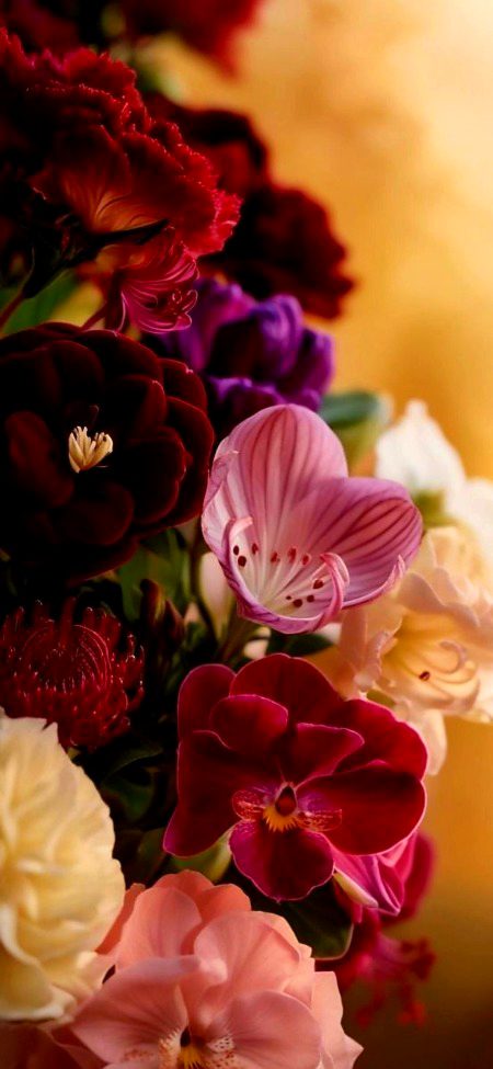 Beautiful Nature image