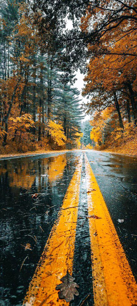 Beautiful Nature image