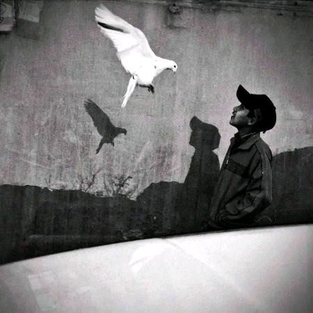 لوگ تو لوگ ہیں لوگوں کی طرح دیکھتے ہیں
ایک ہم ہیں اسے بچوں کی طرح دیکھتے ہیں
تم تو پھر غیر ہو تم سے تو پھر شکایت کیسی
میرے اپنے مجھے غیروں کی طرح دیکھتے ہیں
🖤