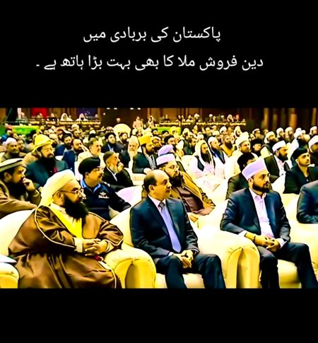 Memes & Satire image