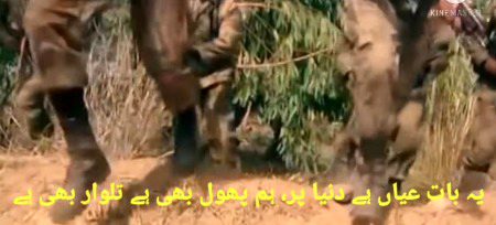 Hum phoool bi hain Yalwar bi hain..