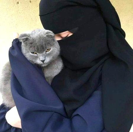 ☺️☺️🥰🥰😍😍☺️
 *لڑکی کتنی ہی امیر پڑھی لکھی* 
*ماڈرن کیوں نہ ہو ننگے سر اچھی نہیں لگتی ہے*💯
🧕🧕🧕🧕👑👑