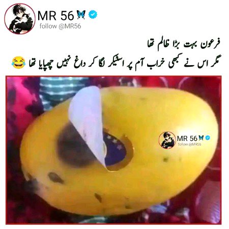 Memes & Satire image