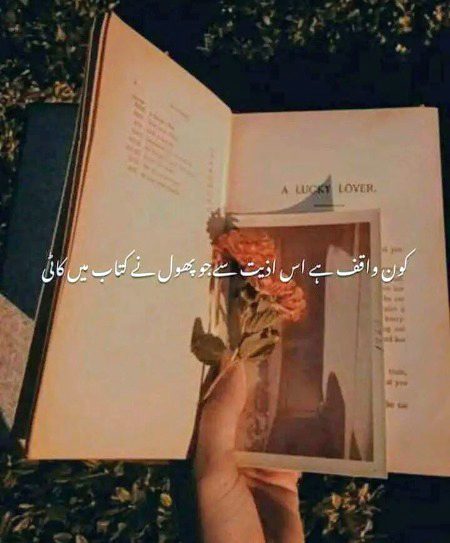 Sad Poetry image
