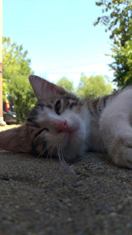 Beautiful Nature image