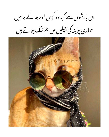 Jokes image