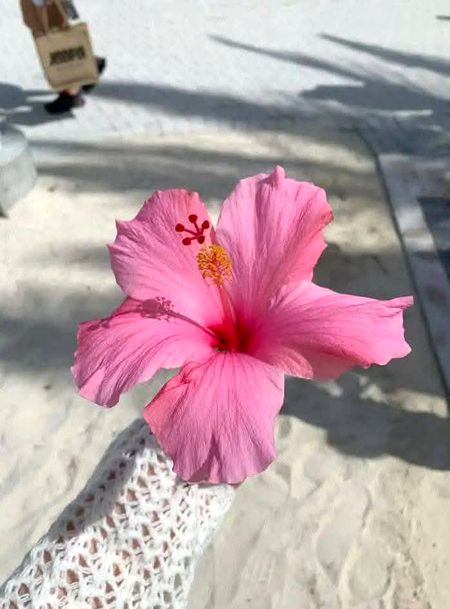 Beautiful Nature image