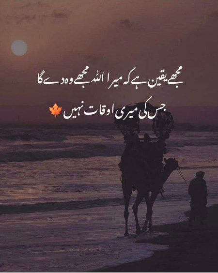 Beshak. . .