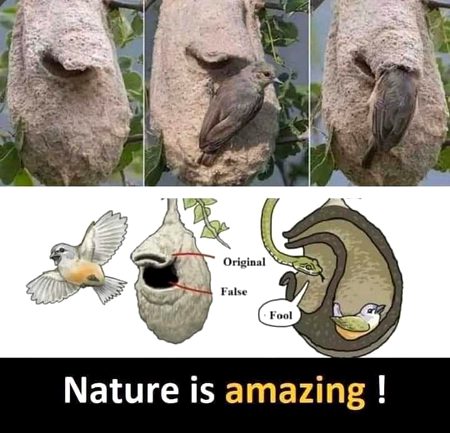 Beautiful Nature image