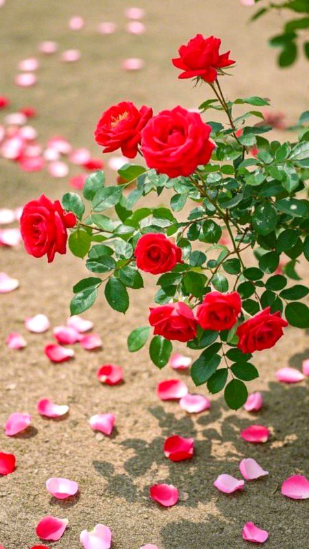 Beautiful Nature image